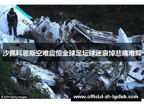 沙佩科恩斯空难震惊全球足坛球迷哀悼悲痛难抑 沙佩科恩斯空难震惊全球足坛球迷哀悼悲痛难抑