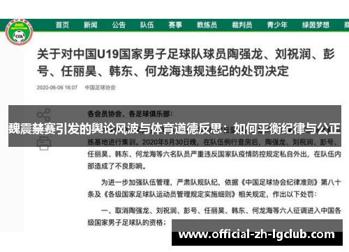 魏震禁赛引发的舆论风波与体育道德反思：如何平衡纪律与公正